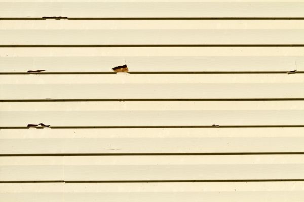 Siding Damage Repair